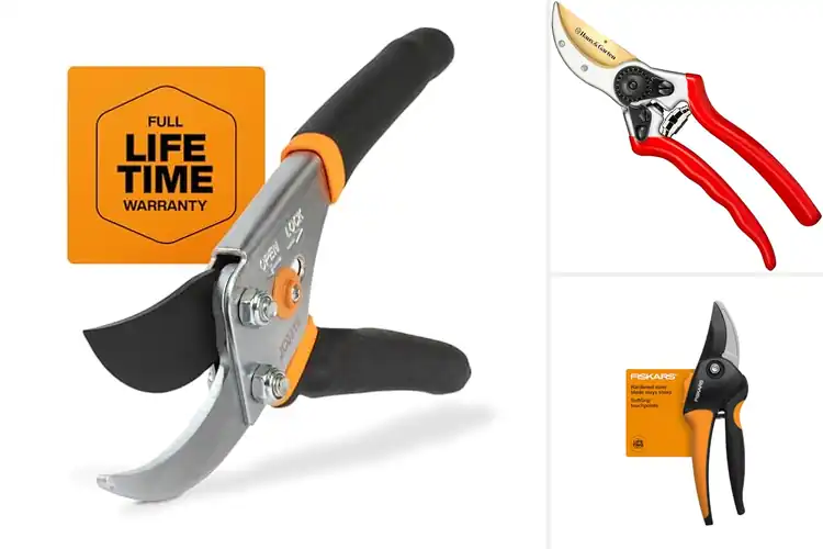 Detailed view of Best Rust Resistant Pruning Scissors