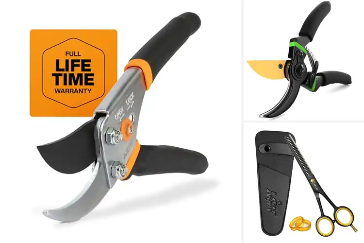 Detailed view of Best Rust Resistant Shears