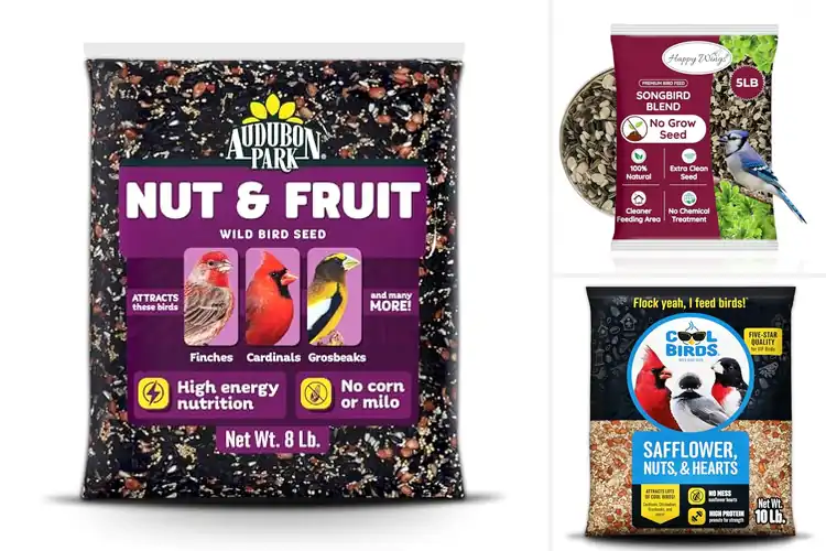 Detailed view of Best Safflower Peanut Mix: Attract More Birds to Your Yard