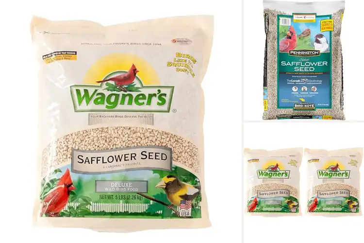 Detailed view of Best Safflower Seeds