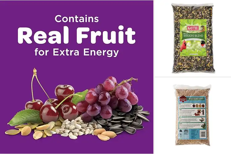 Detailed view of Best Seed Blends For Birds: Attract Vibrant Songbirds Today