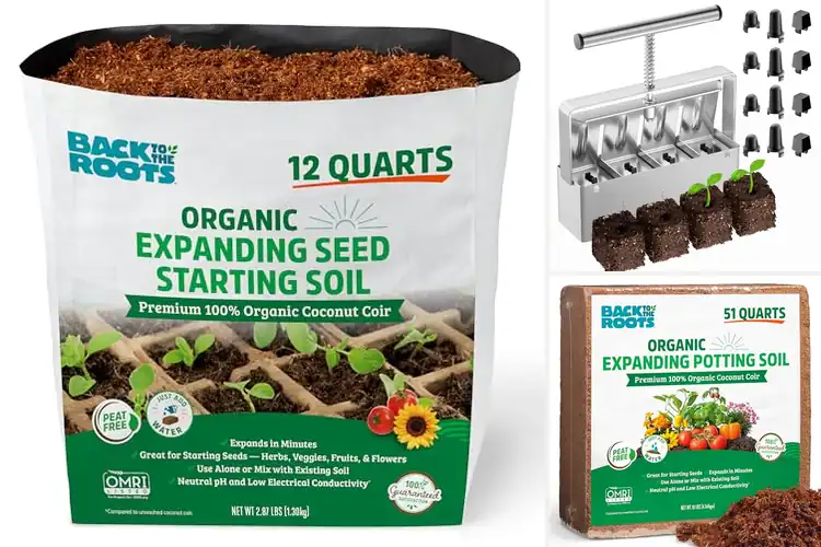 Detailed view of Best Seed Starting Blocks To Soil Expansion