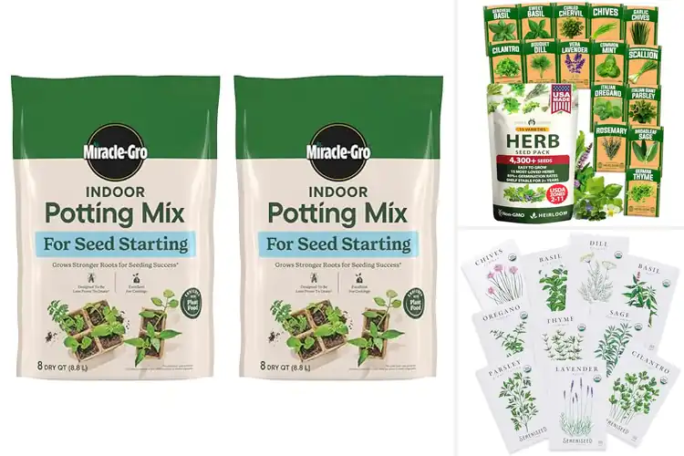 Detailed view of Best Seed Starting Herb Seeds