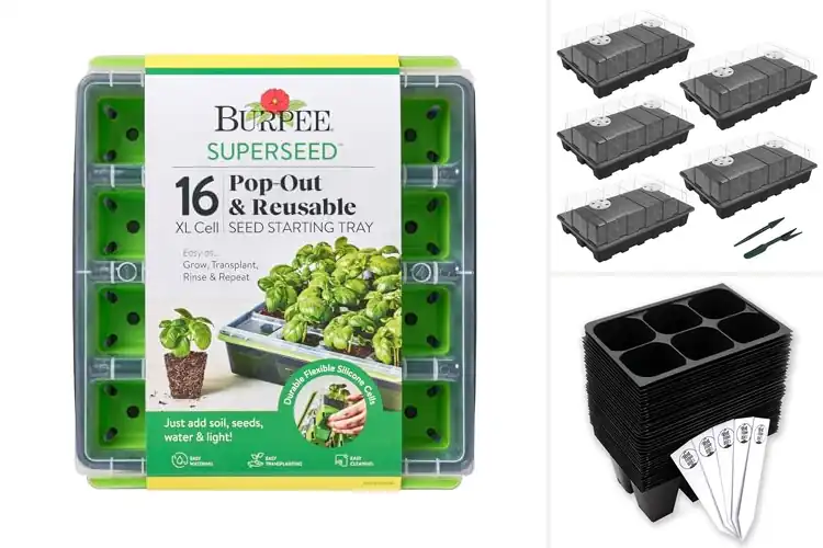 Detailed view of Best Seed Starting Trays: Top Picks for Healthy Plant Growth