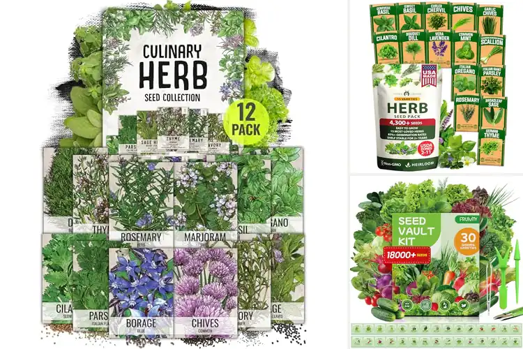 Detailed view of Best Seeds For Indoor Gardens
