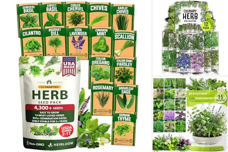Detailed view of Best Seeds for Indoor Planting