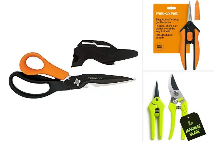 Detailed view of Best Sharp Garden Scissors