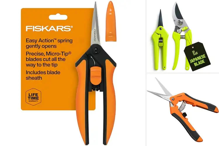 Detailed view of Best Sharp Gardening Scissors