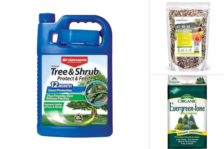 Detailed view of Best Shrub Fertilizers: Top Picks for a Lush, Vibrant Garden