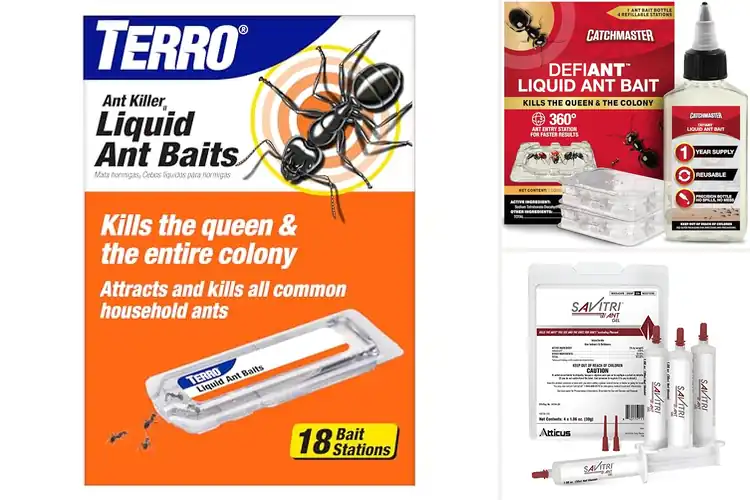 Detailed view of Best Slow Acting Ant Baits: Clear Your Home Calmly