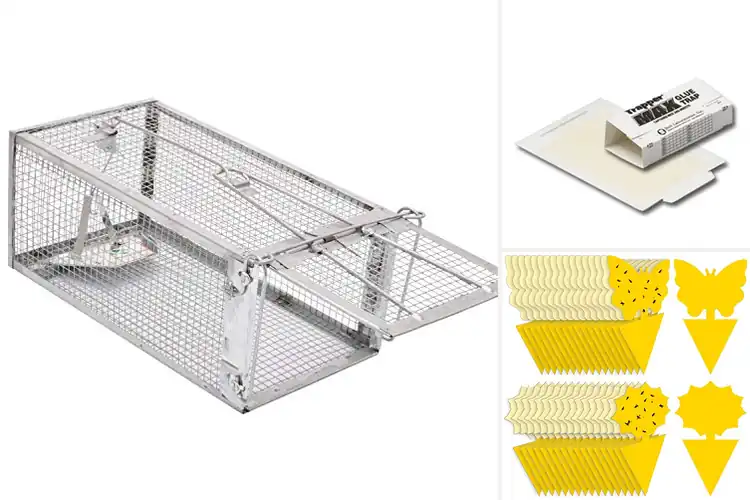 Detailed view of Best Small Pest Traps: Top Humane and Effective Solutions