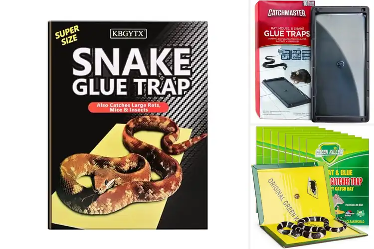 Detailed view of Best Snake Glue Traps: Top 10 Humane & Mess-Free Solutions