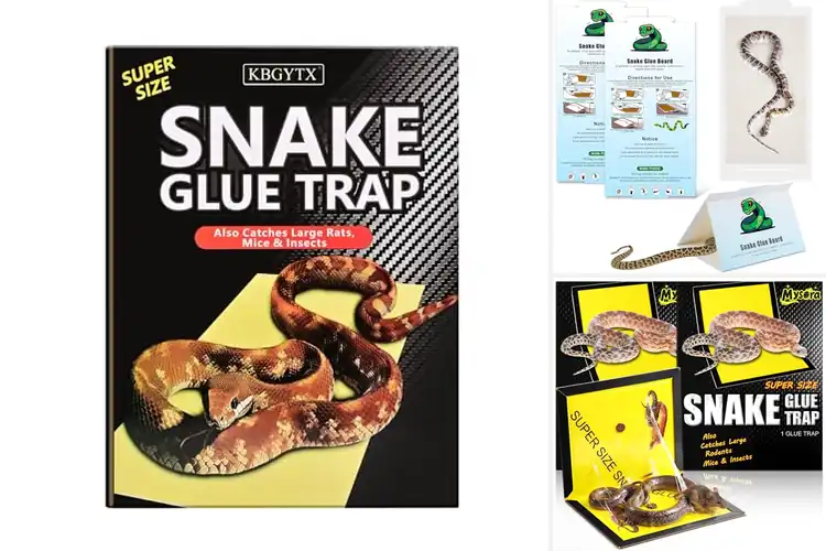 Detailed view of Best Snake Traps