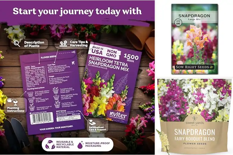 Detailed view of Best Snapdragon Seeds: Top 10 Vibrant Picks for Your Garden