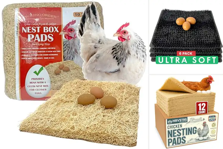 Detailed view of Best Soft Nesting Pads For Chickens