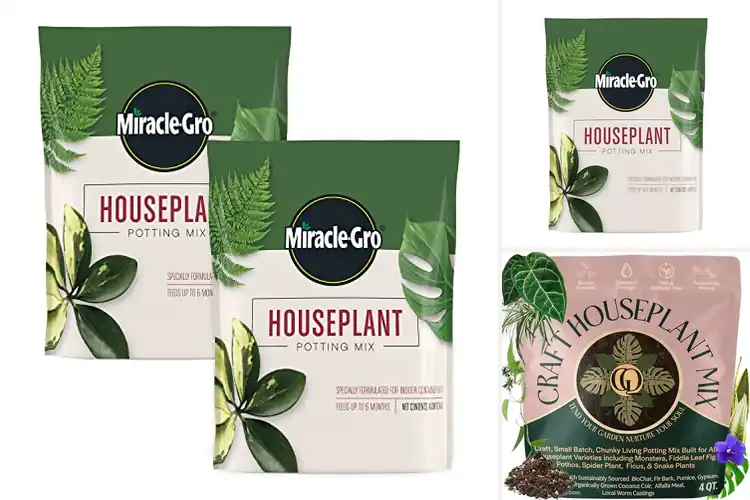 Detailed view of Best Soil For Less Gnats