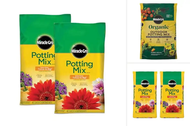 Detailed view of Best Soil Mixes For Annuals And Perennials
