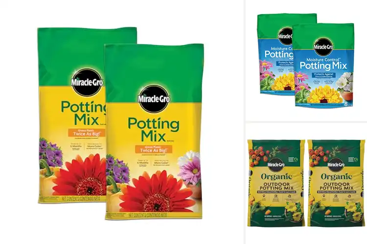 Detailed view of Best Soil Mixes For Container Plants