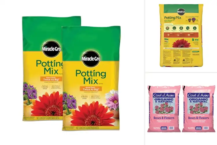 Detailed view of Best Soils For Annual Flowers