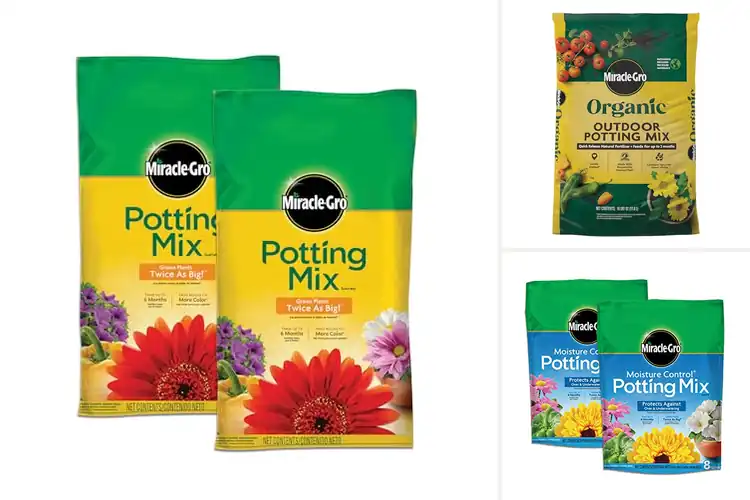 Detailed view of Best Soils For Container Flowers: Boost Bloom Growth Easily