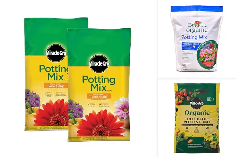 Detailed view of Best Soils For Herb Containers