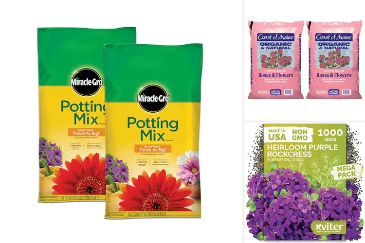 Detailed view of Best Soils For Perennial Flowers
