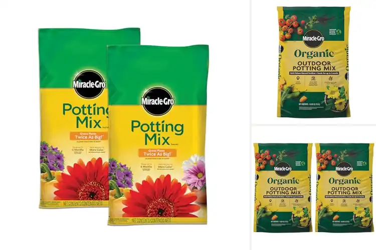 Detailed view of Best Soils For Vegetable Containers