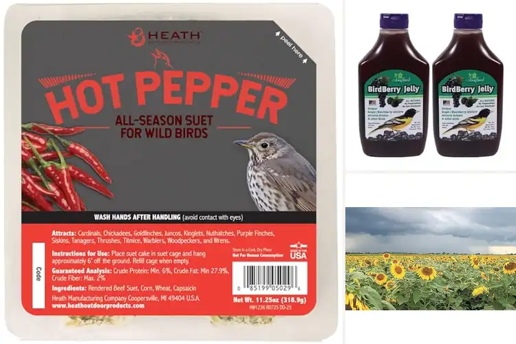 Detailed view of Best Songbird Attractants