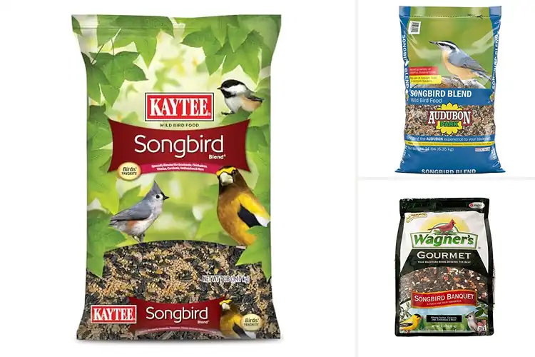 Detailed view of Best Songbird Attracting Seed Mix