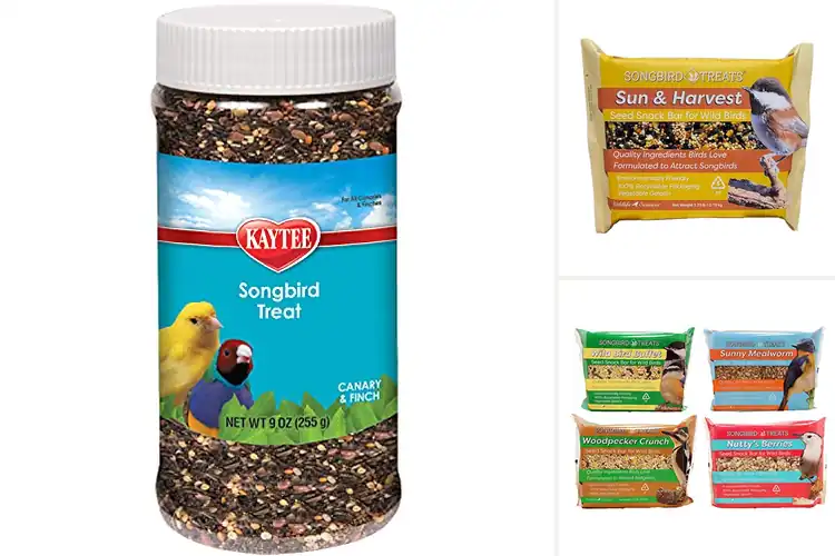 Detailed view of Best Songbird Treats: Top Picks for Happy, Healthy Birds