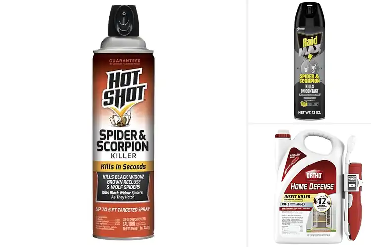 Detailed view of Best Spider Killers