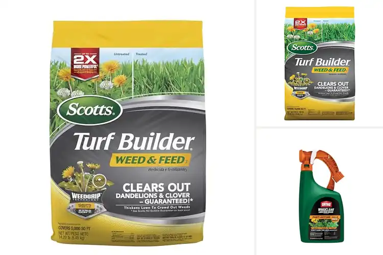 Detailed view of Best Spring Weed Controls