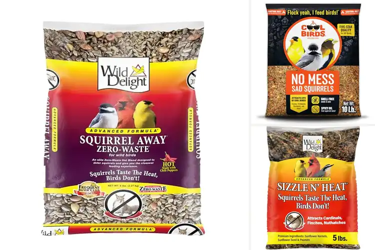 Detailed view of Best Squirrel Proof Seeds