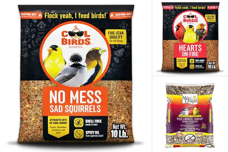 Detailed view of Best Squirrel-Resistant Bird Seeds