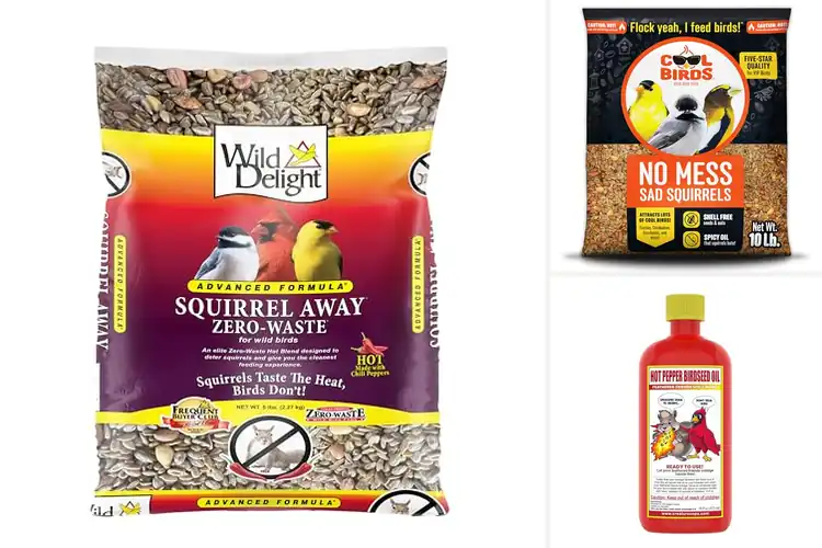 Detailed view of Best Squirrel-Resistant Seeds