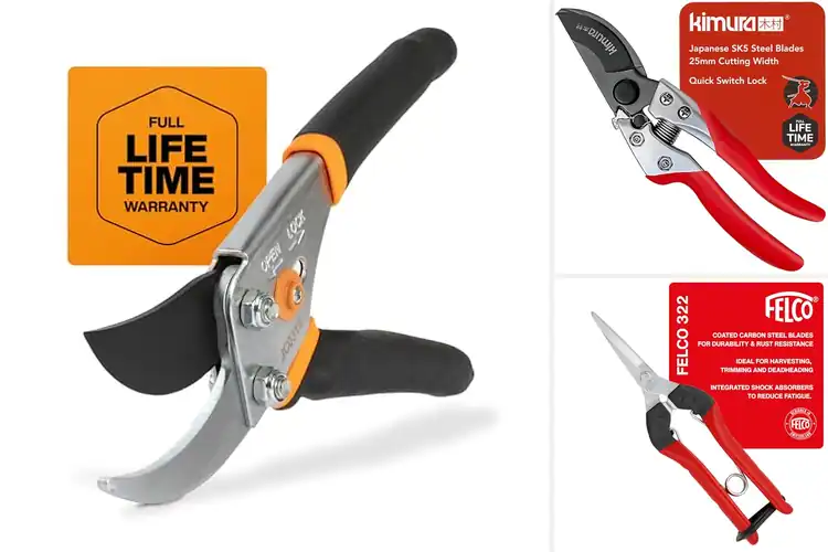 Detailed view of Best Steel Blade Pruners
