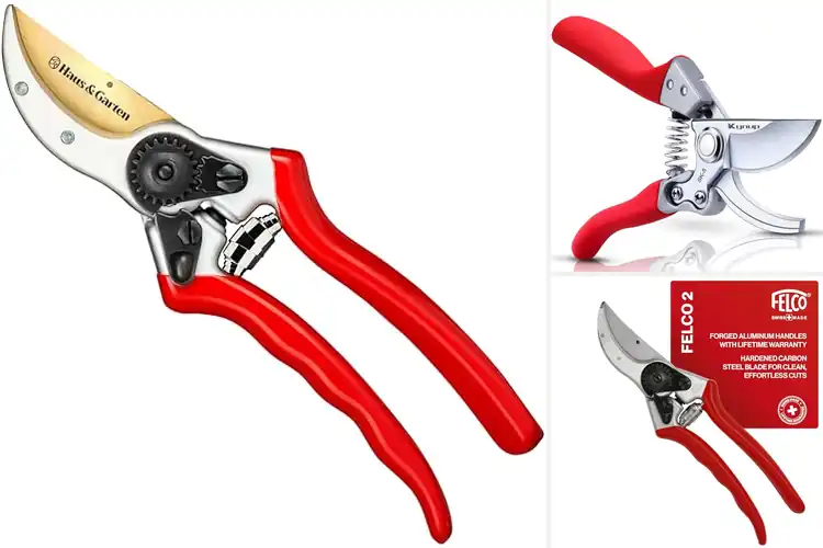Detailed view of Best Steel Pruners