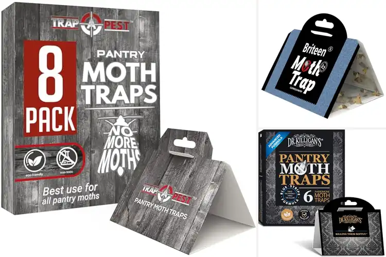 Detailed view of Best Sticky Moth Traps for a Cleaner, Moth‑Free Home
