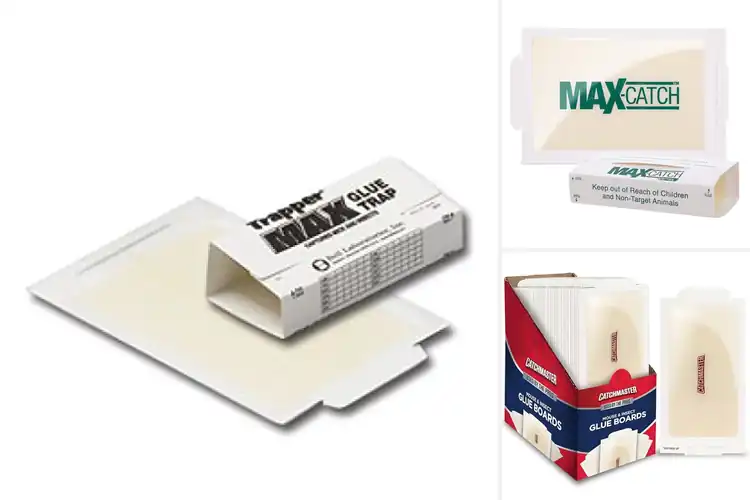 Detailed view of Best Sticky Pads For Insects