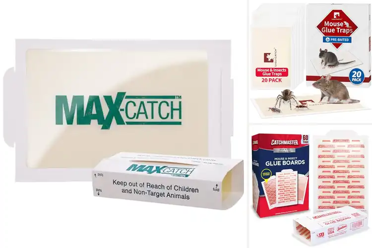 Detailed view of Best Sticky Pads For Pests