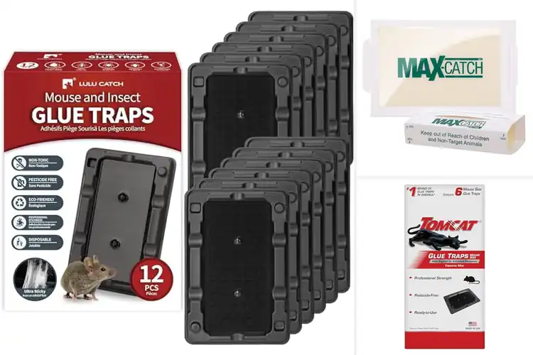 Detailed view of Best Sticky Trap For Mice: Top 10 Picks for a Pest-Free Home
