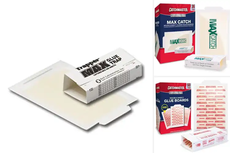 Detailed view of Best Sticky Traps For Pests