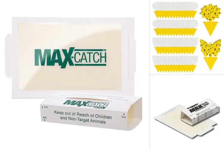Detailed view of Best Sticky Traps: Top 10 Pest-Free Home Solutions Revealed
