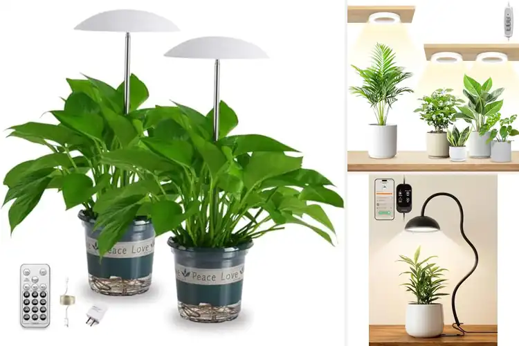 Detailed view of Best Timer Controlled Grow Lights