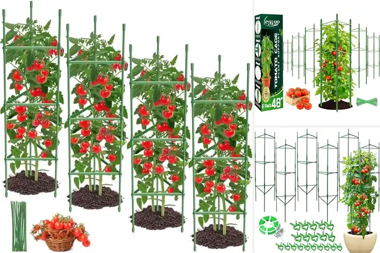 Detailed view of Best Tomato Cages: Top 10 Picks for Healthy Plant Growth