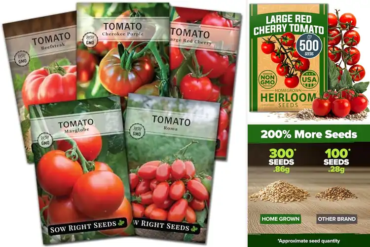 Detailed view of Best Tomato Seeds For Outdoor Planting