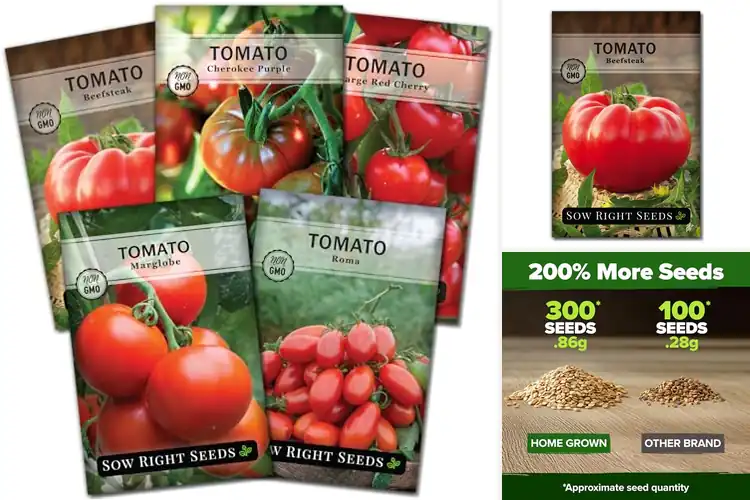 Detailed view of Best Tomato Seeds for Planting