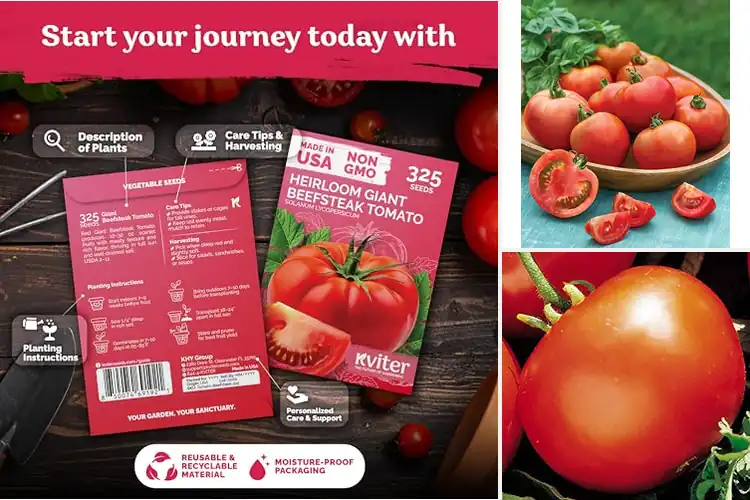 Detailed view of Best Tomatoes for Slicing
