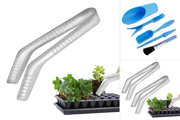 Detailed view of Best Transplanting Tools