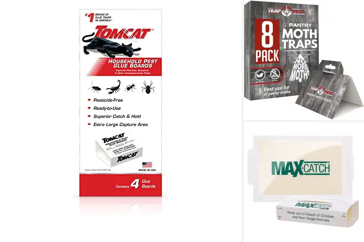 Detailed view of Best Traps For Household Pests